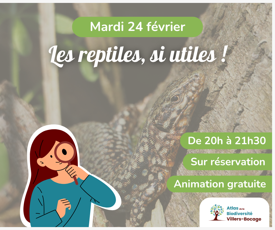 Copie de atelier petites betes (12)